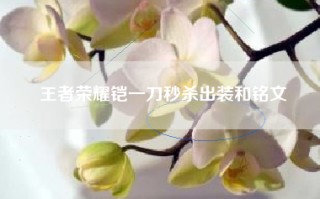 王者荣耀铠一刀秒杀出装和铭文