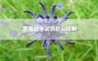 皇座战争武将赵云详解