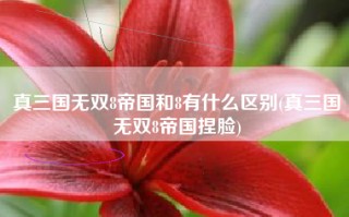 真三国无双8帝国和8有什么区别(真三国无双8帝国捏脸)