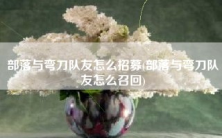 部落与弯刀队友怎么招募(部落与弯刀队友怎么召回)