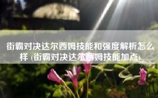 街霸对决达尔西姆技能和强度解析怎么样 (街霸对决达尔西姆技能加点)