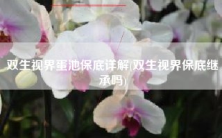 双生视界蛋池保底详解(双生视界保底继承吗)
