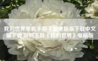 我的世界单机手游下载电脑版下载中文版下载,如何下载《我的世界》电脑版