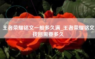 王者荣耀铭文一般多久满_王者荣耀铭文找回需要多久