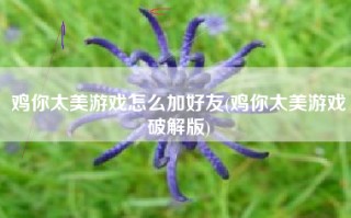 鸡你太美游戏怎么加好友(鸡你太美游戏破解版)