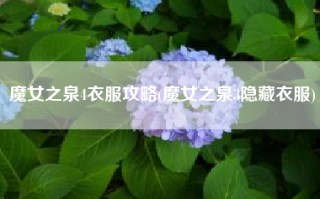 魔女之泉4衣服攻略(魔女之泉3隐藏衣服)
