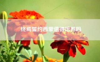 终焉誓约西蒙值得培养吗