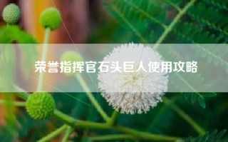 荣誉指挥官石头巨人使用攻略