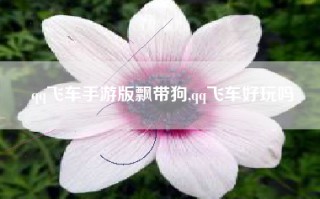 qq飞车手游版飘带狗,qq飞车好玩吗
