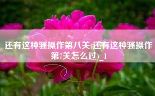 还有这种骚操作第八关(还有这种骚操作第7关怎么过)_1