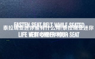 泰拉瑞亚迷你鲨有什么用(泰拉瑞亚迷你鲨有必要升级吗-)