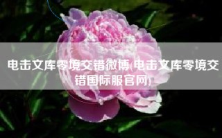 电击文库零境交错微博(电击文库零境交错国际服官网)