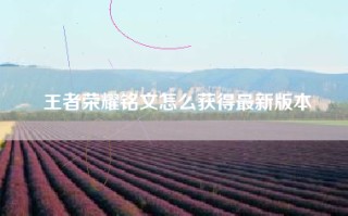 王者荣耀铭文怎么获得最新版本