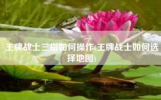 王牌战士三指如何操作(王牌战士如何选择地图)