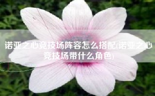 诺亚之心竞技场阵容怎么搭配(诺亚之心竞技场带什么角色)