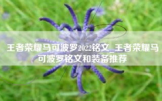 王者荣耀马可波罗2022铭文_王者荣耀马可波罗铭文和装备推荐