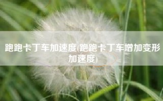 跑跑卡丁车加速度(跑跑卡丁车增加变形加速度)