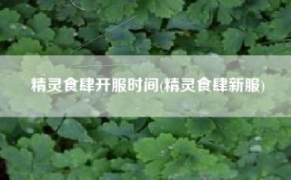 精灵食肆开服时间(精灵食肆新服)