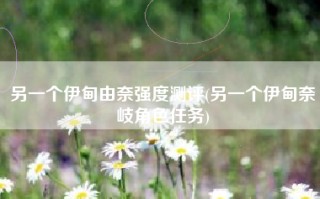 另一个伊甸由奈强度测评(另一个伊甸奈岐角色任务)