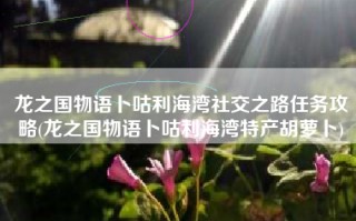 龙之国物语卜咕利海湾社交之路任务攻略(龙之国物语卜咕利海湾特产胡萝卜)