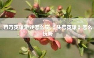 百万英雄游戏怎么玩,《头号英雄》怎么玩呀