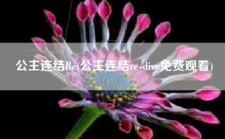 公主连结Re(公主连结re-dive免费观看)