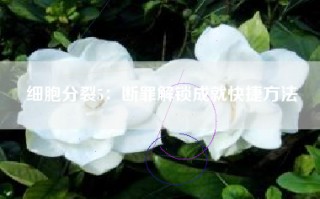 细胞分裂5：断罪解锁成就快捷方法