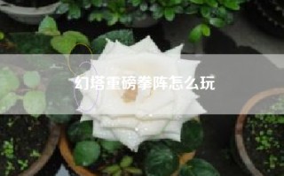 幻塔重磅拳阵怎么玩