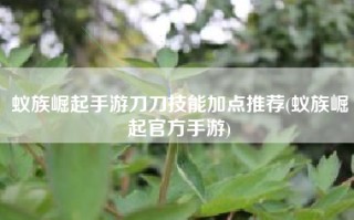 蚁族崛起手游刀刀技能加点推荐(蚁族崛起官方手游)
