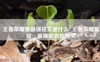 王者荣耀里最强铭文是什么_王者荣耀夏侯惇最强出装和铭文