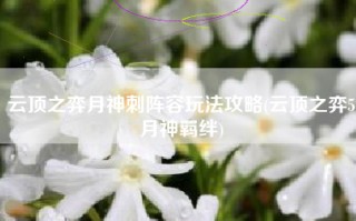 云顶之弈月神刺阵容玩法攻略(云顶之弈5月神羁绊)