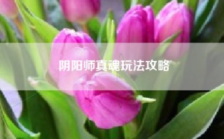 阴阳师真魂玩法攻略