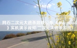 网石二次元大逃杀游戏公布 《Hype Squad》实机演示视频(二次元大逃杀游戏)