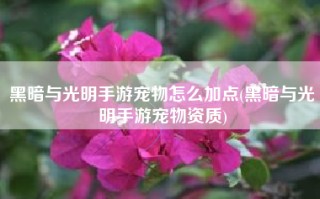 黑暗与光明手游宠物怎么加点(黑暗与光明手游宠物资质)