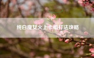 纯白魔女火上卡组打法攻略