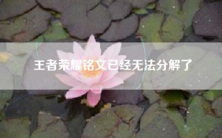 王者荣耀铭文已经无法分解了
