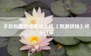 手游刺激战场重新上线,《刺激战场》终于过审