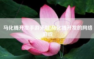 马化腾开发手游无耻,马化腾开发的网络游戏