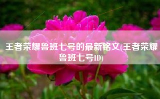 王者荣耀鲁班七号的最新铭文(王者荣耀鲁班七号ID)