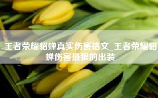 王者荣耀貂蝉真实伤害铭文_王者荣耀貂蝉伤害最狠的出装