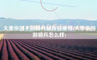 大秦帝国手游骑兵城阵容推荐(大秦帝国游骑兵怎么样)