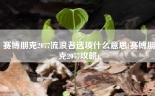 赛博朋克2077流浪者选项什么意思(赛博朋克2077攻略)