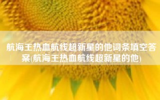 航海王热血航线超新星的他词条填空答案(航海王热血航线超新星的他)