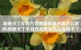 跑跑卡丁车官方竞速版能量水晶怎么获得(跑跑卡丁车官方竞速版怎么充值不了)
