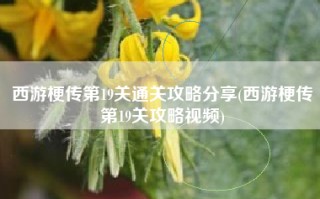 西游梗传第19关通关攻略分享(西游梗传第19关攻略视频)