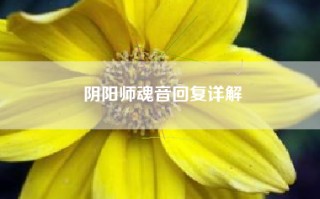 阴阳师魂音回复详解