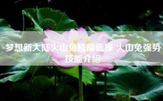 梦想新大陆火山兔技能选择 火山兔强势技能介绍