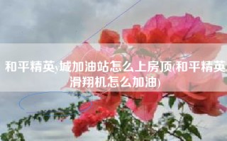 和平精英y城加油站怎么上房顶(和平精英滑翔机怎么加油)
