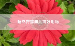 超然狩猎佣兵简好用吗