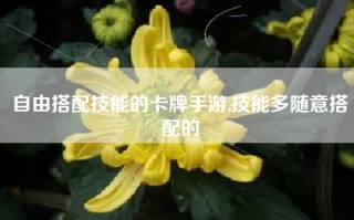 自由搭配技能的卡牌手游,技能多随意搭配的